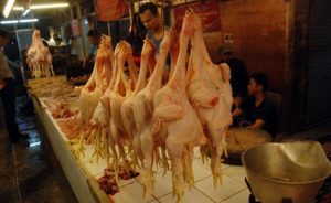 PASAR AYAM Di kota malang