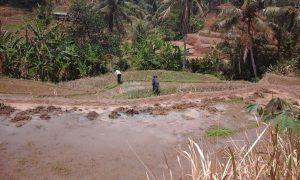 IMG-20170910-WA0042