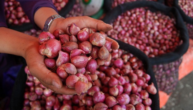 Turunya harga bawang