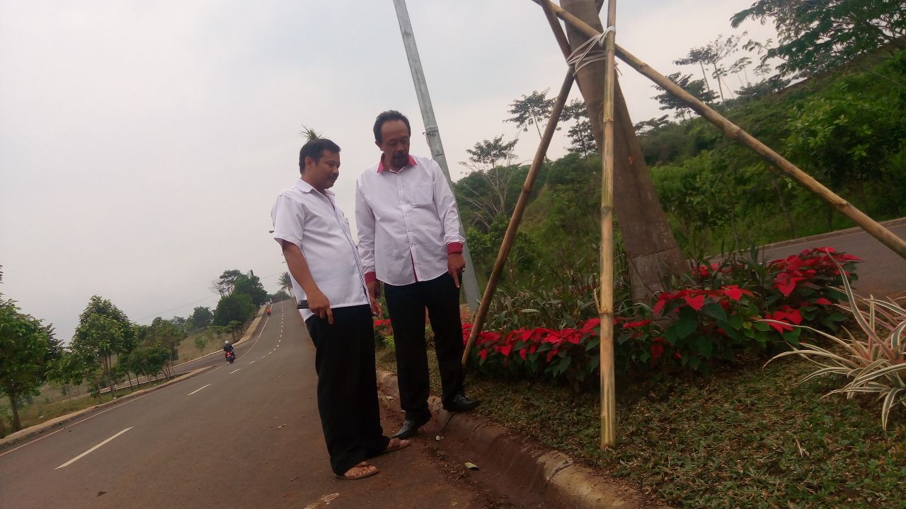 Kepala Dinas Pemukiman dan Perumahan Kabupaten Bandung barat, Rahmat Adang Safaat ketika mantau pembangunan taman di lingkungan Pemkab Bandung Barat di Mekarsari