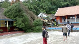 Pohon besar tumbang timpa gedung SDN Merdeka