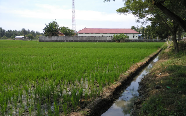 Pemberian IMB pada Lahan Sawah Akan Diperketat https://spiritnews.co.id/