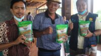 Melalui Program YeSS, Petani Milenial dan Anak Muda Subang Semakin Berkembang