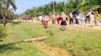 Sengketa Lahan Kebun Cot Girek Berlarut-larut, APPI Aceh Utara: Pemerintah Harus Tegas!